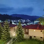Rodopi 4*