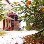 Guest house Rodopi