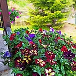 Rodopi Guest house Chepelare