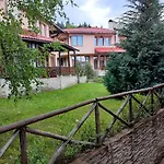 Rodopi 4*