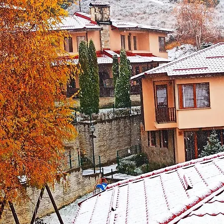 Rodopi