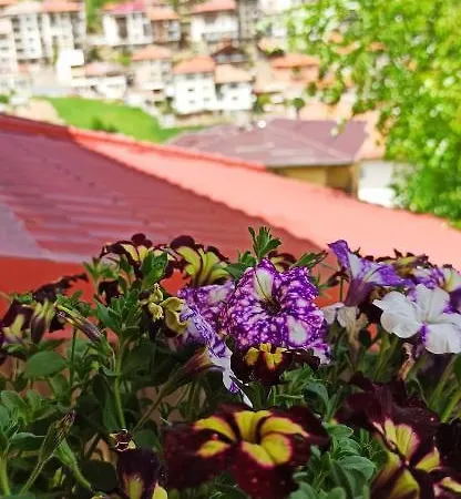 Къща за гости родопски къщи