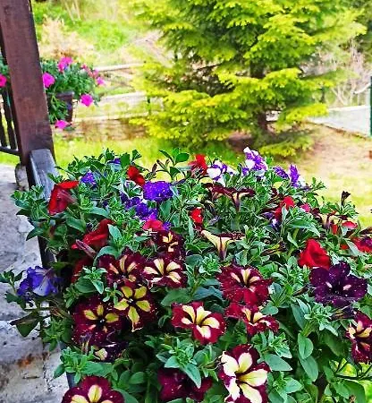 родопски къщи Къща за гости Чепеларе