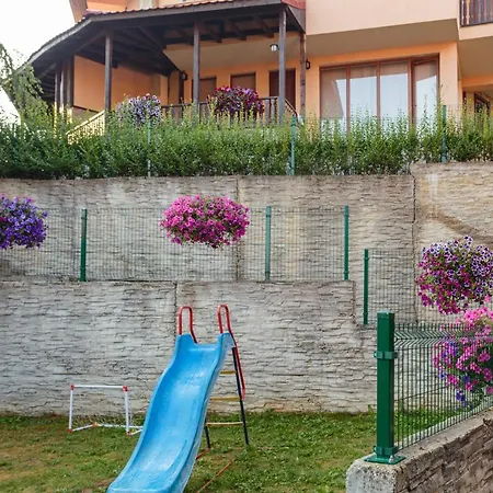 Rodopi Guest house 4*