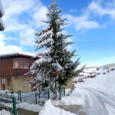 Rodopi Guest house