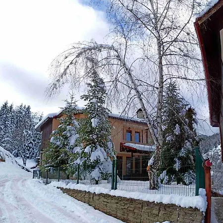 Rodopi Guest house 4*
