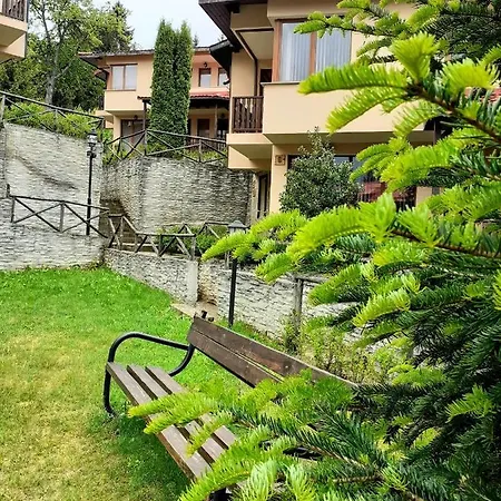 Guest house Rodopi 4*