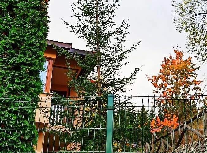 Guest house Rodopi 4*