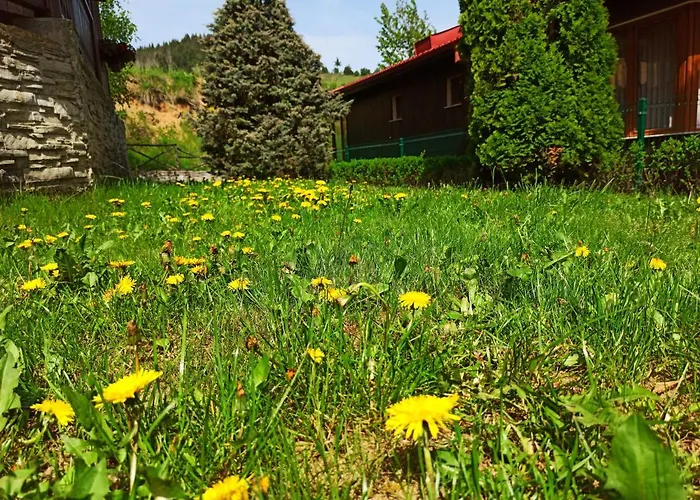 Guest house Rodopi 4*