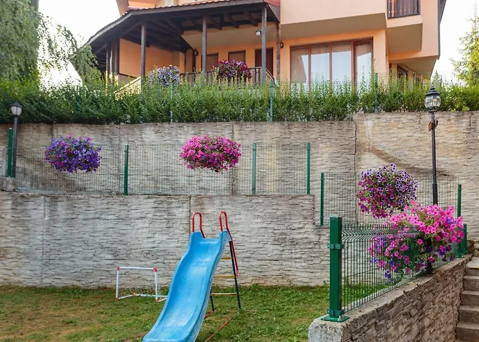 Rodopi Guest house 4*