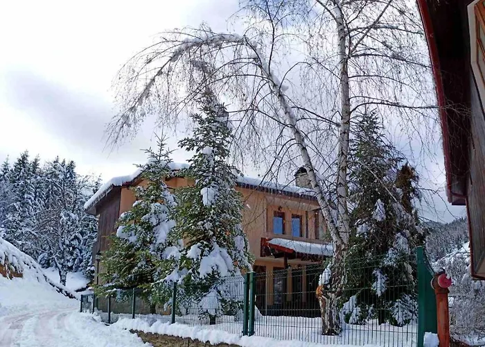 Rodopi Guest house 4*