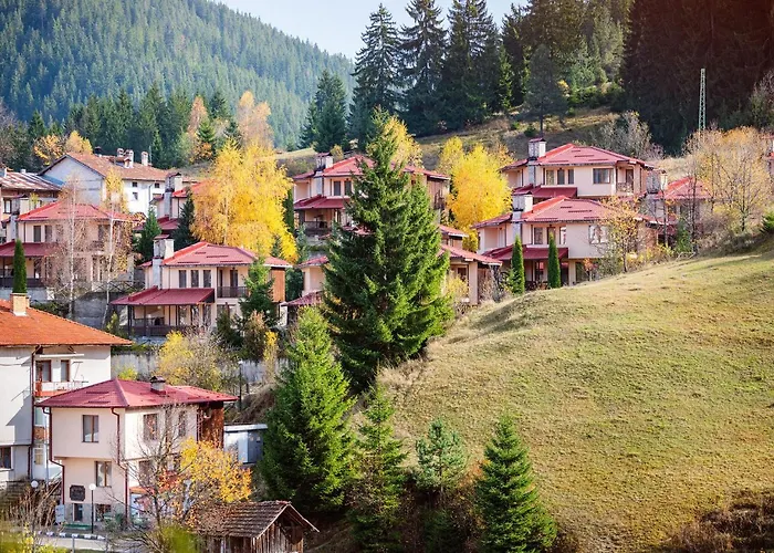 Guest house Rodopi 4*